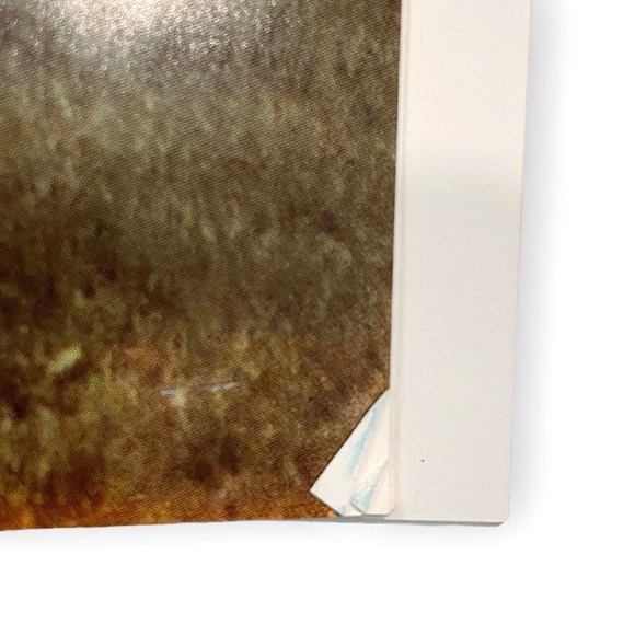 The Turkoman Carpet by George W. O’Bannon (1974 Hardcover) First Edition VG+ - Picture 8 of 8